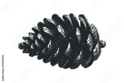 Close-up textured pinecone with detailed scales in monochrome. Vector hand drawn illustration