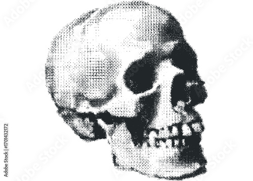 Stippled Human Skull on White. Vector hand drawn illustration