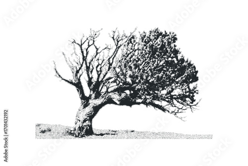 Stippled silhouette of a gnarled, windswept tree with dense foliage on transparent. Vector hand drawn illustration