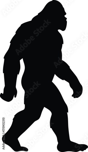 Silhouette sasquatch bigfoot walking mysterious cryptid folklore legend vector