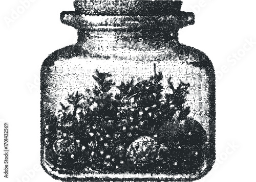 Vintage glass jar with natural contents on transparent background. Vector hand drawn illustration