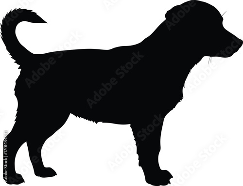 Silhouette dog standing profile view domestic pet animal vector