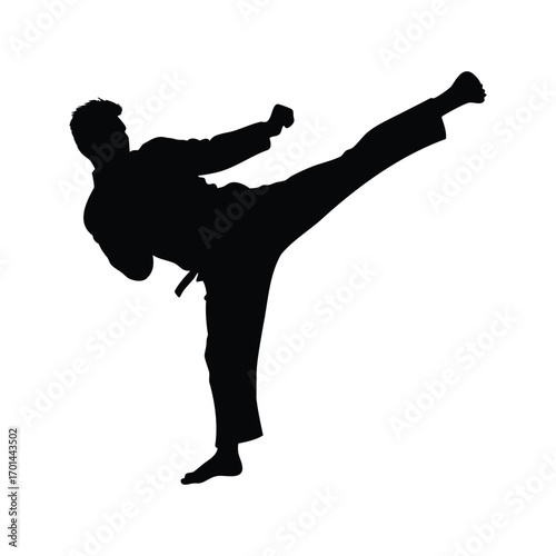 Silhouette of a martial artist executing a powerful side kick with precision, martial artist performing high kick silhouette vector illustration