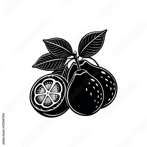 Monochrome image of a branch of pears with leaves and half pear