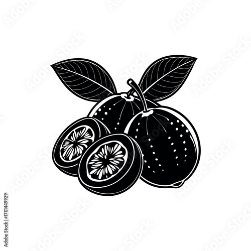 Monochrome illustration of guavas with leaves and cross section details