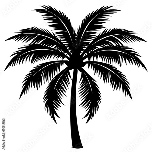 tropical coconut tree silhouette 