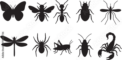 Collection of silhouette insects and arachnids butterfly bee ant beetle mosquito dragonfly spider grasshopper scorpion and other bugs silhouette