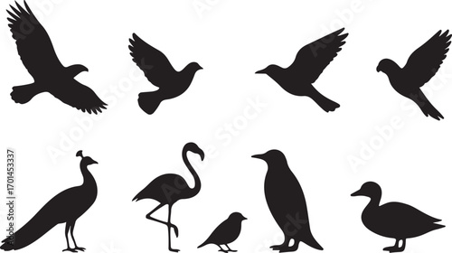 Diverse collection of bird silhouettes in flight and standing majestic creatures representing nature wildlife aviary ornithology and freedom silhouette