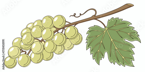 A realistic bunch of green grapes with smooth, glossy skin, arranged tightly together and attached to a brown stem. A few vibrant green grapevine leaves are also attached. The lighting is soft and nat