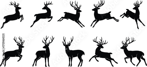 Deer silhouette vector, stag illustration, wild animal design, antlers outline, hunting symbol, wildlife art, forest animal graphic, nature drawing