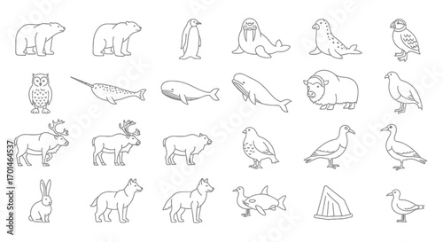 Collection of arctic animal illustrations includes polar bear, penguin, walrus, seal, owl, narwhal, whale, muskox, caribou, wolf, rabbit, and various arctic birds in line art style