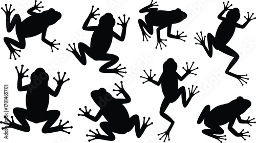 Frog silhouettes vector illustration, amphibian animal design, jumping frog collection, nature wildlife artwork, tropical jungle frog symbol, climbing frog graphic, black