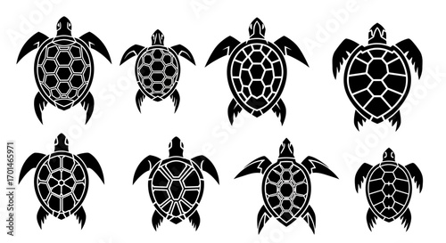 A striking vector illustration showcases a collection of sea turtle silhouettes, each displaying unique shell patterns and shapes, representing the beauty and diversity of marine life