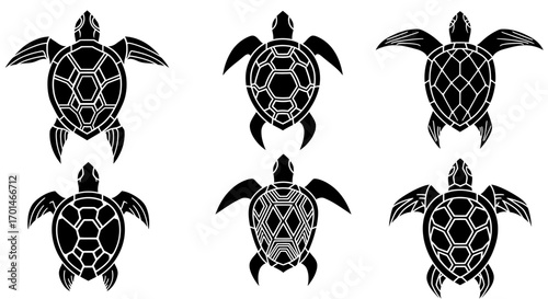 A collection of six turtle illustrations, each showcasing unique shell patterns and flipper designs, perfect for tattoo art, logo design, or educational materials about sea life