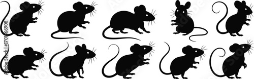 Mouse silhouette vector, black rat illustration, cartoon rodent design, animal clipart, pest control graphic, wildlife drawing, cute mouse artwork