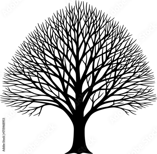 Bare Tree Silhouette Vector Illustration