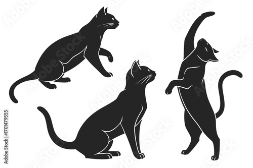 Cat silhouette set – group of black cat silhouettes in different poses, minimal and clean outlines