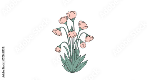 Delicate pink bell shaped flowers growing tall with green leaves below a simple illustration
