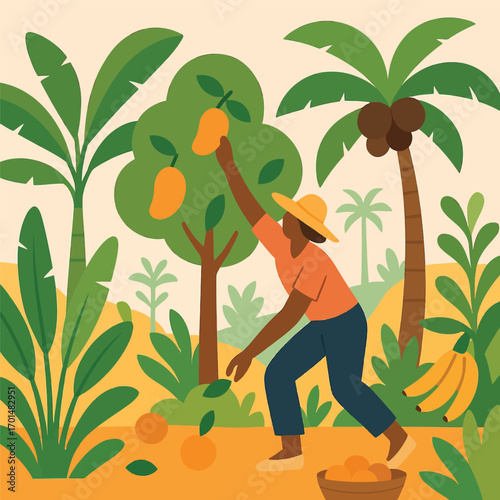 A person in a hat harvesting ripe mangoes from a tree in a lush tropical orchard with bananas and coconuts.