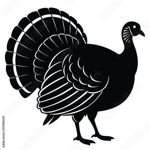 turkey bird vector silhouette design