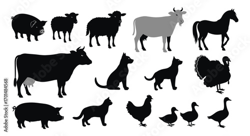 Collection of farm animals silhouettes for educational purposes and childrens books