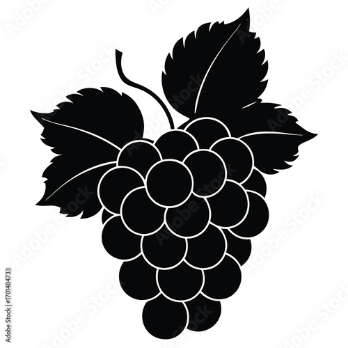 grapes vector silhouette design