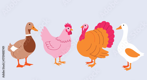 Farm birds collection featuring ducks chickens turkeys and geese on a light blue background