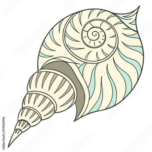 Decorative stylized seashell with intricate spiral pattern and flowing lines in pastel colors on a white background