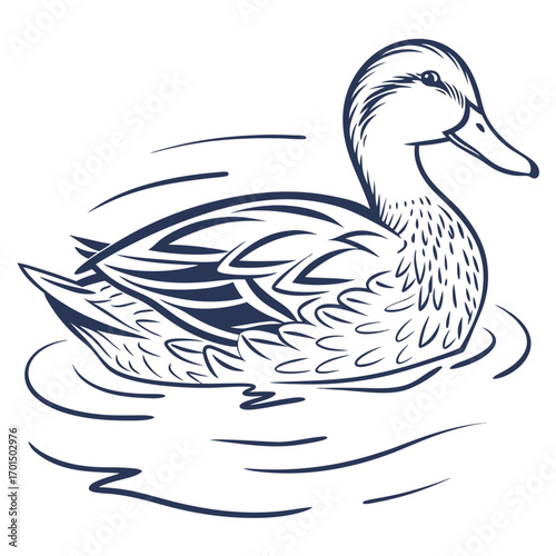 Elegant single line drawing of a mallard duck swimming gracefully on rippling water surface