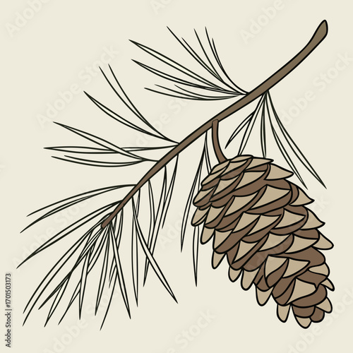 A detailed illustration of a single pine cone hanging from a branch with long green needles against a neutral background