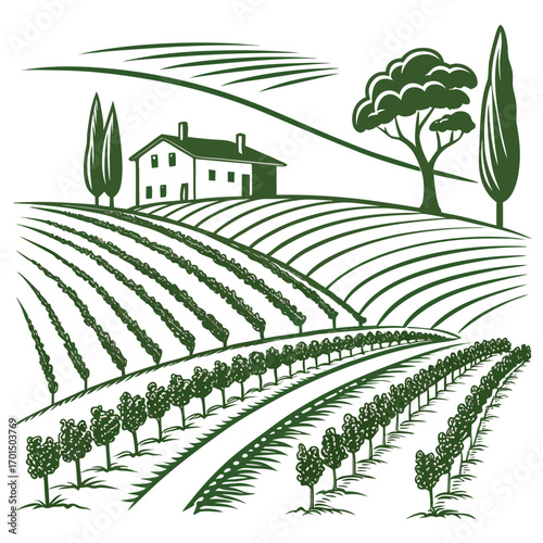 Stylized illustration of a tuscan vineyard landscape with rolling hills a farmhouse and cypress trees