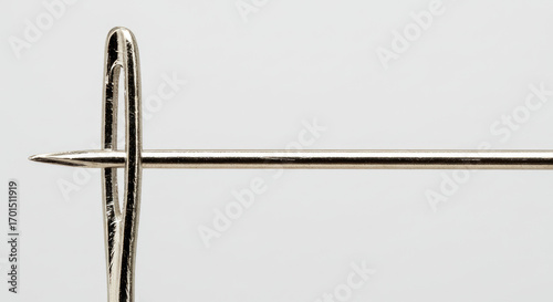 needle on white