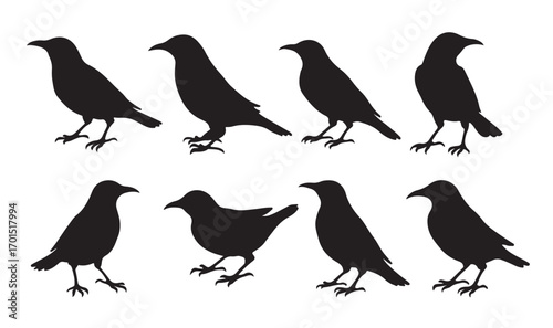 black silhouettes of birds on white background
