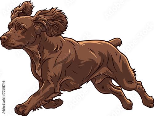 Boykin Spaniel dog running athletic vector illustration