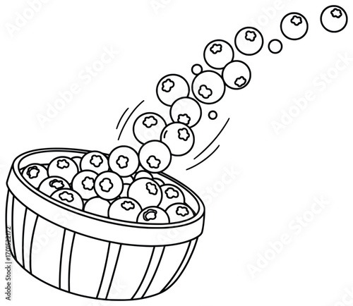 Blueberries vector illustration of a wooden basket filled with fresh berries with fruits spilling out in clean black and white outline style perfect for harvest designs, food packaging