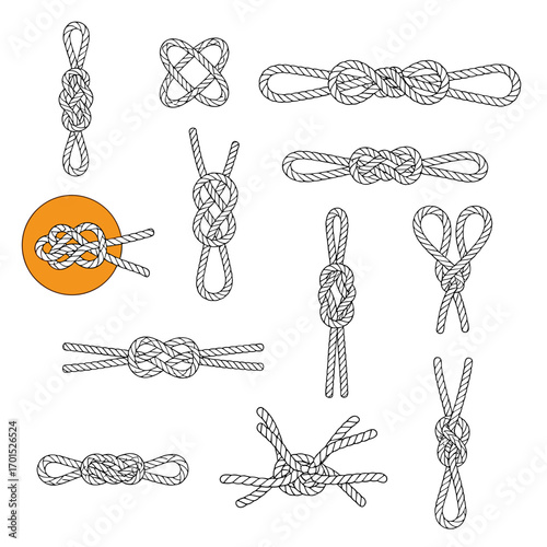 A comprehensive collection of practical knots for various applications including camping climbing sailing and everyday tasks