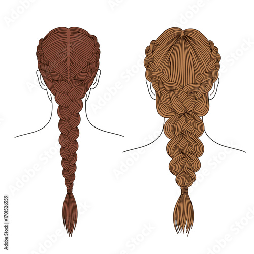 Two detailed illustrations of braided hairstyles seen from the back