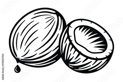 Coconut Halves with Detail, Organic Dark Shape on White