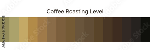 Coffee roasting level palette showing beans from light to dark roast, vector chart for espresso and brewing style