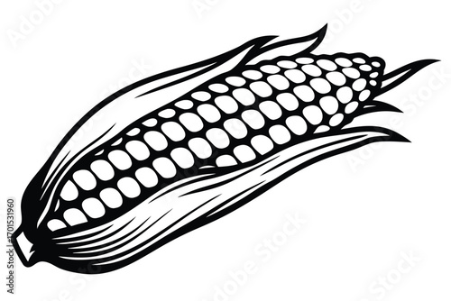 Fotografija Corn Cob in Black and White