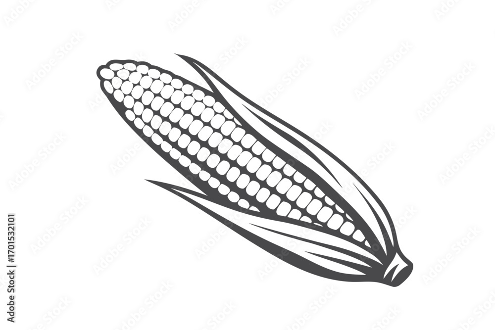 Fototapeta premium Corn Cob Illustration, Isolated Maize Outline, White Background Icon