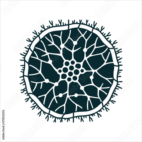 Abstract Fungal Mycelium Network Illustration Fungal Networks Interconnected mycelium threads forming a branching web like circle