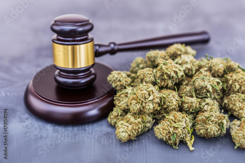 Judge gavel and cannabis buds are laying on a table, representing marijuana legal status