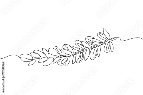Continuous one line drawing Argania seeds lined up on branches with leaves. Plant preparations that can moisturize the skin. International Day of Argania. Single line draw design vector illustration