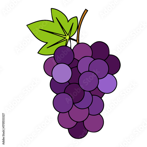 bunch of grapes