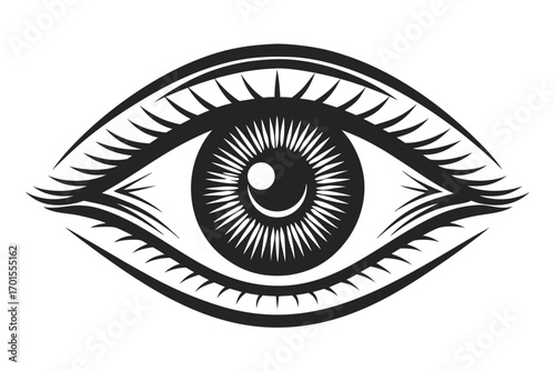 Detailed Monochrome Eye with Stylized Lashes on White Background