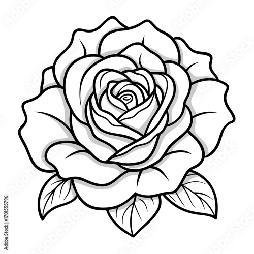 Wallpaper Mural damask rose outline vector within white background. Torontodigital.ca