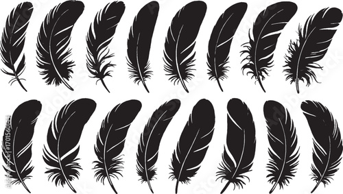 Set of 14 black silhouette feather illustrations, elegant bird feathers vector art, natural organic design, minimalistic style.