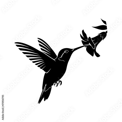 Vector Silhouette of a Hummingbird Feeding from a Flower
