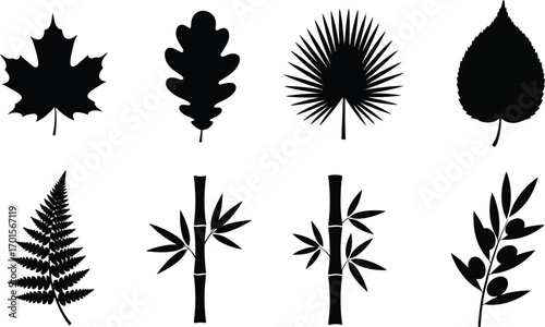Collection of diverse leaf silhouettes representing various tree species and plant types against a white backdrop, showcasing botanical diversity and minimalist aesthetic.